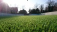 Gazon pour football C POWER 40/50/60 mm