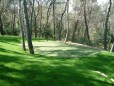 Putting green synthétique : GOLF PRO 16 mm