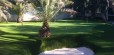 Putting green synthétique : GOLF PRO 16 mm