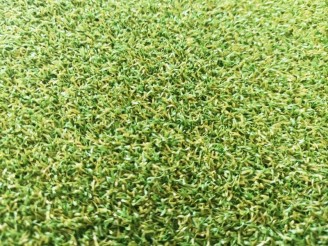 Putting green synthétique : GOLF PRO 16 mm