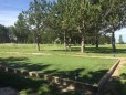 Départ de Golf synthétique START 30 mm