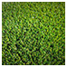  GAZON SYNTHÉTIQUE JARDIN 